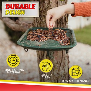 My Favorite Chicken Urban Garden Seed Tray Table Mountable Bird Feeder, Green