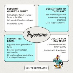 Mycelium Feeds Poultry 3-Grain Scratch High Protein Cracked Corn, Wheat & Milo Chicken Bird Food, 5-lb bag slide 2 of 9