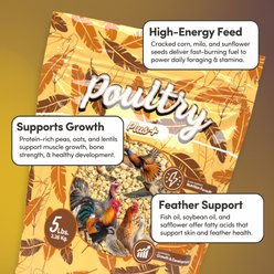 Mycelium Feeds Poultry Plus High-Protein, Omega-Rich Scratch Mix Chicken Bird Food, 5-lb bag slide 2 of 9