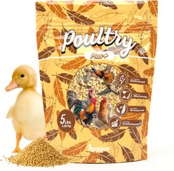 Mycelium Feeds Poultry Plus High-Protein, Omega-Rich Scratch Mix Chicken Bird Food, 5-lb bag