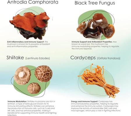 Show full view: Mycogen Immune Supplement Soft Chew for Dogs, 60 count slide 6 of 9