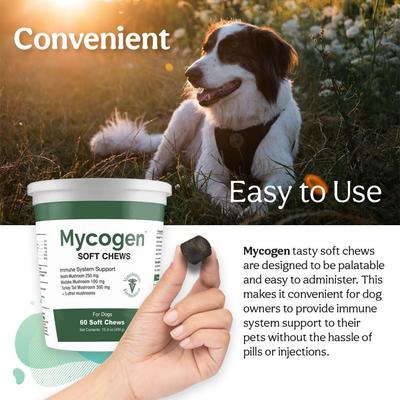 Show full view: Mycogen Immune Supplement Soft Chew for Dogs, 60 count slide 7 of 9