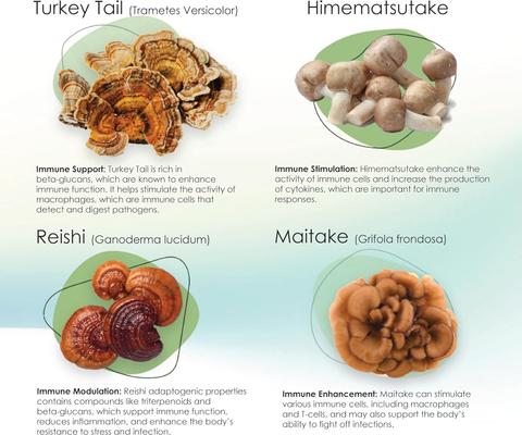 Show full view: Mycogen Immune Supplement Soft Chew for Dogs, 60 count slide 5 of 9