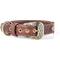 Show in main carousel: myfamily El Paso Genuine Embossed Italian Leather Dog Collar, Brown, 12-in slide 1 of 5