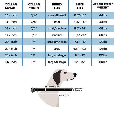 Show full view: myfamily El Paso Genuine Embossed Italian Leather Dog Collar, Brown, 26-in slide 6 of 7