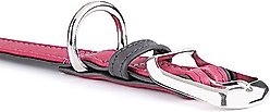 myfamily Firenze Genuine Italian Leather Dog Collar, Fuchsia & Grey, XXX-Large: 21 to 25-in neck, 1.25-in wide slide 2 of 6
