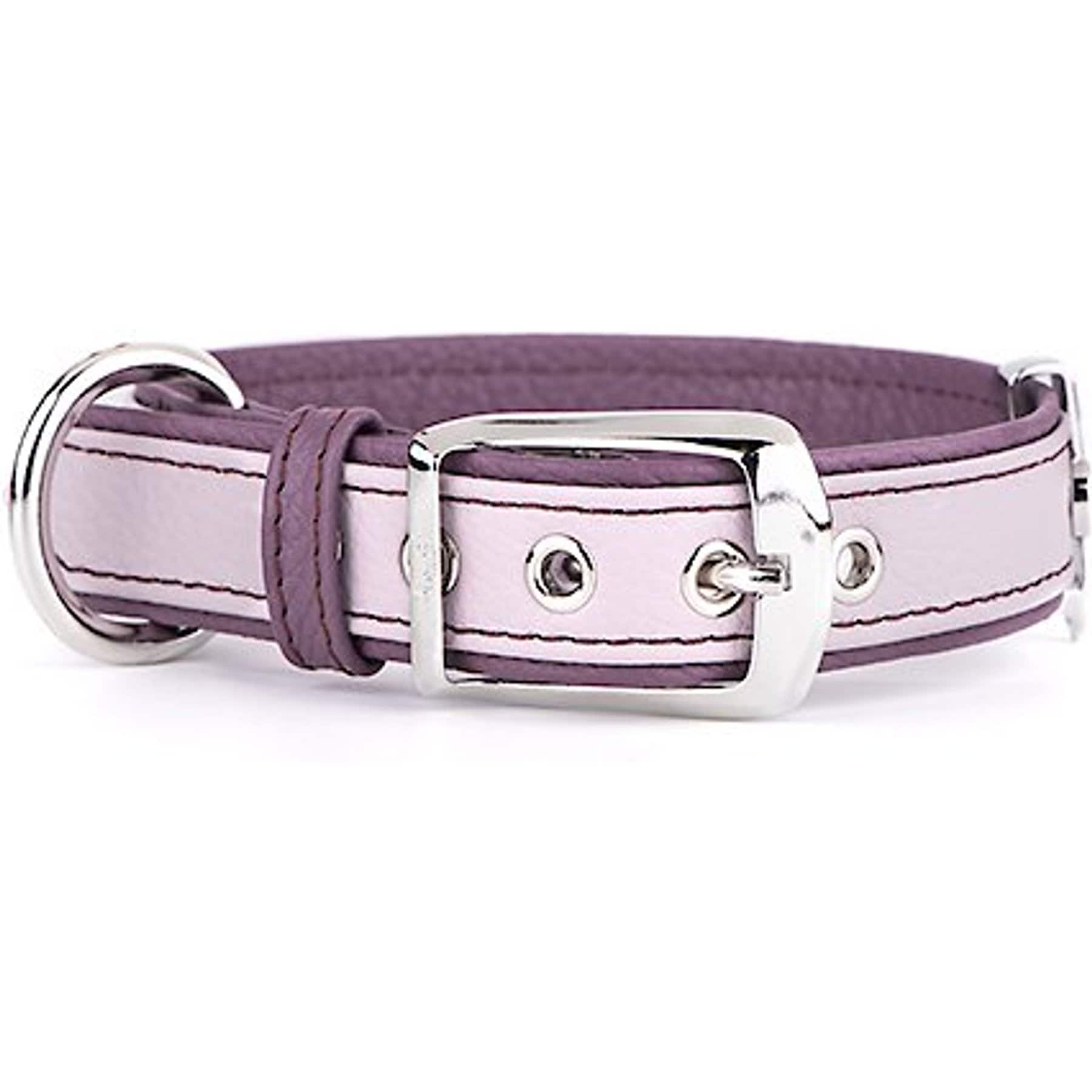 myfamily Firenze Genuine Italian Leather Dog Collar, Lavander & Purple, Medium: 13.5 to 16-in neck, 7/8-in wide