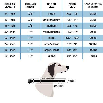 Show full view: myfamily Firenze Genuine Italian Leather Dog Collar, Light Blue & Blue, 14-in slide 6 of 7