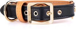 myfamily Hermitage Gold Finish Leather Standard Dog Collar, Black/Tan, 3X-Large: 21 to 25-in neck, 1.3-in wide