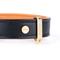 Show in main carousel: myfamily Hermitage Gold Finish Leather Standard Dog Collar, Black/Tan, 3X-Large: 21 to 25-in neck, 1.3-in wide slide 4 of 5