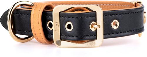 Show full view: myfamily Hermitage Gold Finish Leather Standard Dog Collar, Black/Tan, 3X-Small: 7 to 8-in neck, 0.5-in wide slide 1 of 5