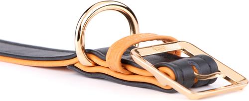 Show full view: myfamily Hermitage Gold Finish Leather Standard Dog Collar, Black/Tan, X-Large: 17 to 21-in neck, 1.3-in wide slide 2 of 4