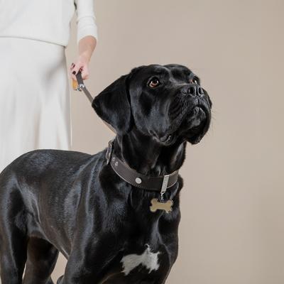 Show full view: myfamily Hermitage Leather Standard Dog Collar, Brown/Tan, 3X-Large: 21 to 25-in neck, 1.3-in wide slide 5 of 7