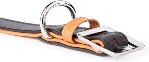 Show full view: myfamily Hermitage Leather Standard Dog Collar, Brown/Tan, 3X-Large: 21 to 25-in neck, 1.3-in wide slide 2 of 7