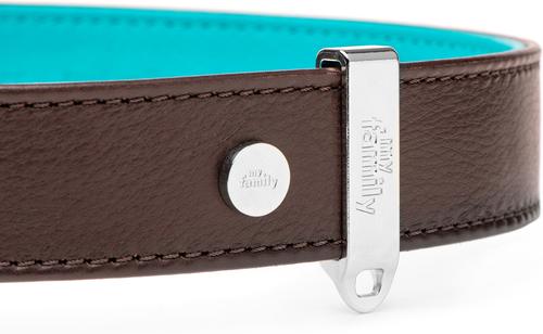 Show full view: myfamily Hermitage Leather Standard Dog Collar, Brown/Torquoise, X-Small: 8 to 10-in neck, 0.6-in wide slide 3 of 7