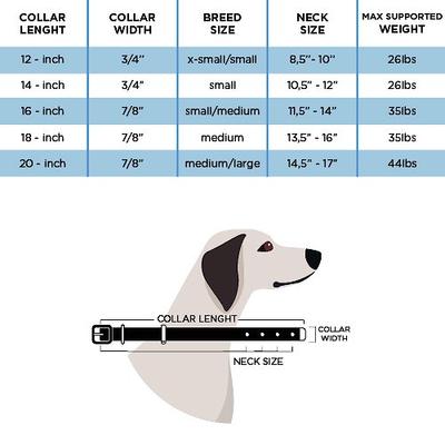 Show full view: myfamily Saint Tropez Premium Italian Leatherette Glitter Dog Collar, Lilac, 12-in slide 5 of 6