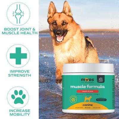 Show full view: MYOS Canine Muscle & Joint Formula with Fortetropin & Green Lipped Mussel Supplement for Dogs, 6.9-oz tub slide 4 of 10