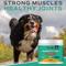 Show in main carousel: MYOS Canine Muscle & Joint Formula with Fortetropin & Green Lipped Mussel Supplement for Dogs, 6.9-oz tub slide 9 of 10