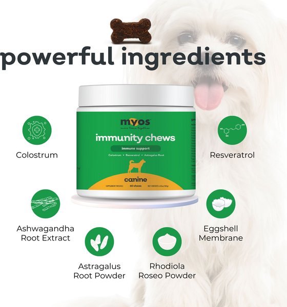 MYOS Immunity Support Chicken Flavored Chew Supplement for Dogs, 60 count