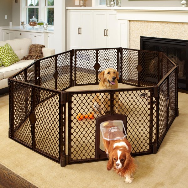 pet play cages