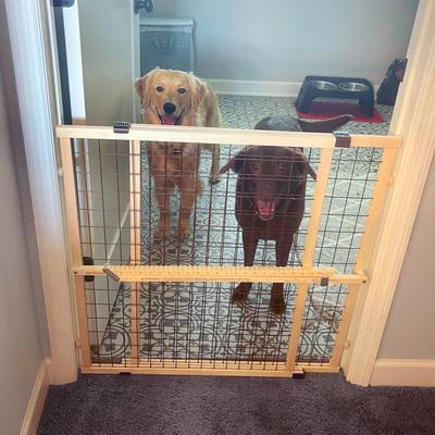 Show full view: MyPet Extra Wide Wire Mesh Gate for Dogs & Cats slide 2 of 7