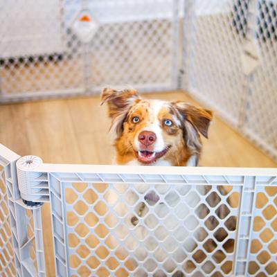 Show full view: MyPet Plastic Dog Pet Yard slide 6 of 11