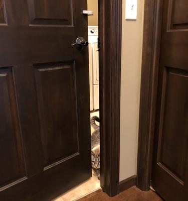 Show full view: MyPet Safety Paws Door Paw-Tector for Dog & Cat, Gray slide 5 of 9