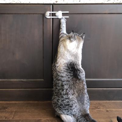Show full view: MyPet Safety Paws Grip & Glide Cabinet Locks for Dog & Cat, Gray, 3 count slide 5 of 8