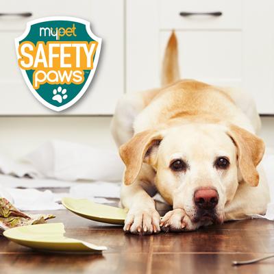Show full view: MyPet Safety Paws No-No Cabinet Latches for Dog & Cat, Gray, 10 count slide 6 of 8