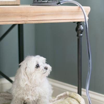 Show full view: MyPet Safety Paws Ruff & Tuff Cord Protector for Dog & Cat, Clear slide 3 of 7