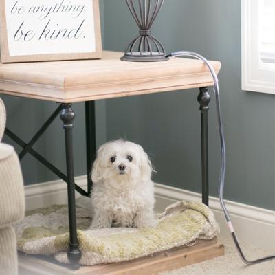 Show full view: MyPet Safety Paws Ruff & Tuff Cord Protector for Dog & Cat, Clear slide 4 of 7