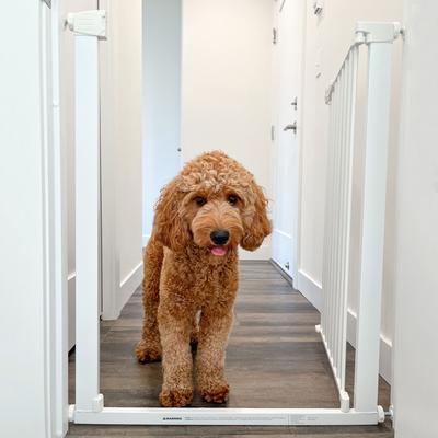 Show full view: MyPet Tall Happy Tails Walk Thru Dog Gate, 36-in, White slide 5 of 10