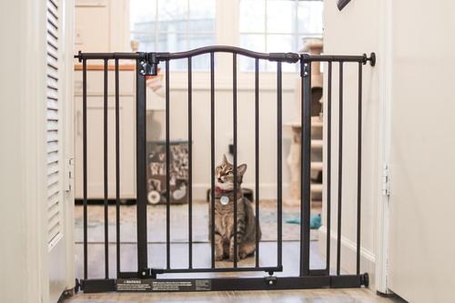 Show full view: MyPet Windsor Arch Pet Gate for Dogs & Cats slide 5 of 8