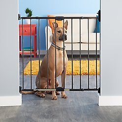 MyPet Windsor Walk Thru Swing Gate for Dogs & Cats