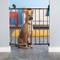 Show in main carousel: MyPet Windsor Walk Thru Swing Gate for Dogs & Cats slide 1 of 8