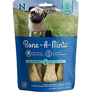 N-Bone Bone-A-Mints Mint Flavored Small Dental Dog Treats, 10 count