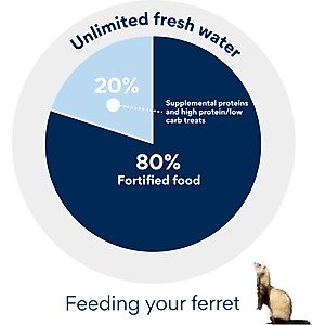 N-Bone Chicken Flavor Chew Sticks Ferret Treat, 1.87-oz bag