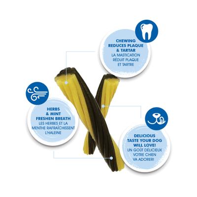 Show full view: N-Bone FLOSSta Dual Action Mint Flavor Dental Dog Chews, 15 count slide 4 of 11