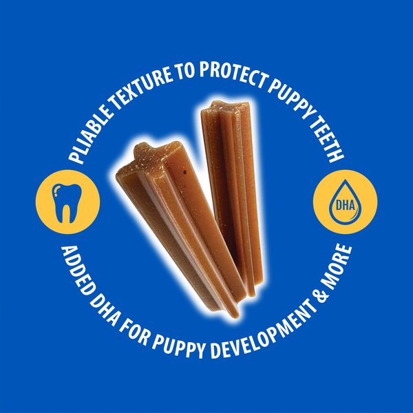 N-Bone Holiday Edition Puppy Jumbo Teething Sticks Chicken Flavor Dog Chew Treats, 7 count