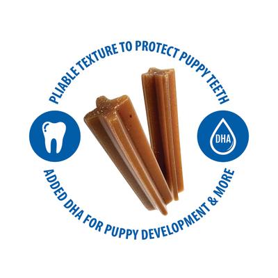 Show full view: N-Bone Jumbo Puppy Teething Sticks Pumpkin Flavor Dog Treats, 7 count slide 7 of 10