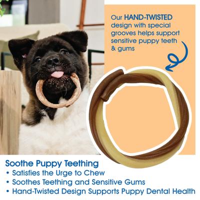 Show full view: N-Bone Puppy Teething Rings Taste of Texas Queso Con Carne Flavor Dog Dental Treats, 3 count slide 4 of 8
