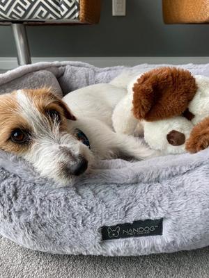 Show full view: Nandog Cloud Collection Dog & Cat Bed, Pearl River Grey slide 6 of 7