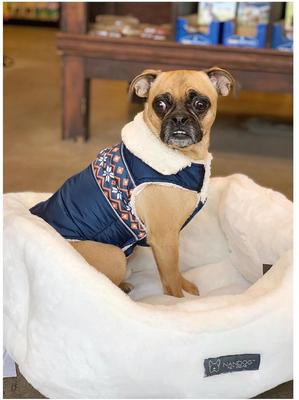 Show full view: Nandog Cloud Collection Dog & Cat Bed, Pearl White slide 6 of 7