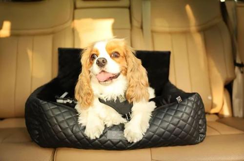 Show full view: Nandog Quilted Vegan Leather Dog Car Seat Bed, Black, Medium slide 4 of 11