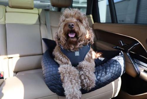 Show full view: Nandog Quilted Vegan Leather Dog Car Seat Bed, Black, Medium slide 6 of 11
