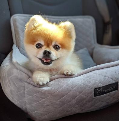 Show full view: Nandog Quilted Micro-Plush Dog Car Seat Bed, Light Gray, Small slide 5 of 8