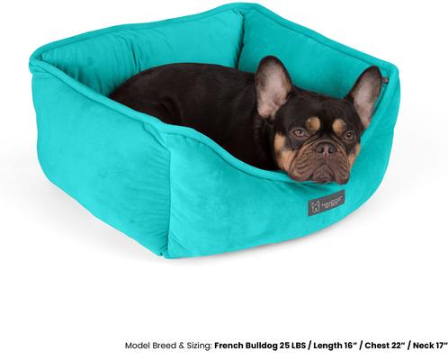 Show full view: Nandog Reversible Design Cat & Dog Bed, Aqua slide 2 of 6