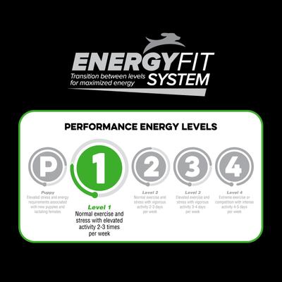 Show full view: Native Level 1 Lamb Flavor Dry Dog Food, 20-lb bag slide 8 of 10