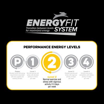 Show full view: Native Level 2 Chicken Flavor Dry Dog Food, 40-lb bag slide 5 of 7