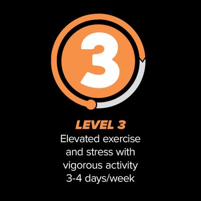 Show full view: Native Level 3 Chicken Flavor Dry Dog Food, 20-lb bag slide 6 of 9